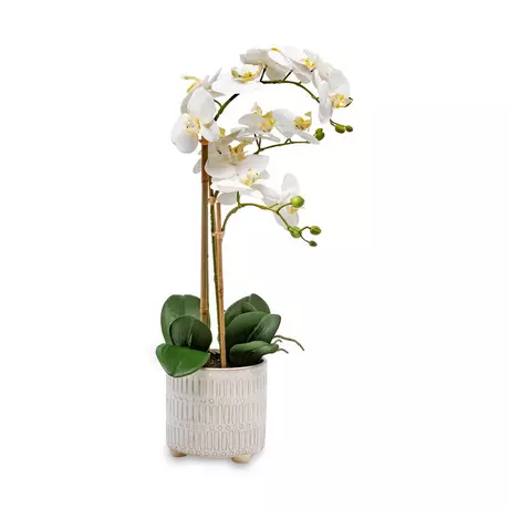 Manor Fleurs artificielles Orchidee Blanc