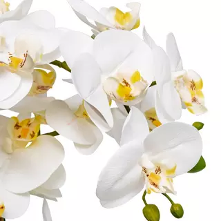 Manor Fiori finti Orchidee Bianco