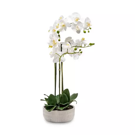 Manor Fiori finti Orchidee Bianco