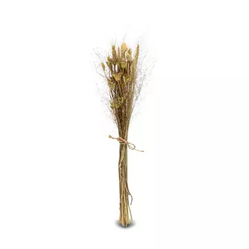 fiore secco