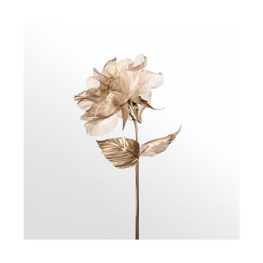 TIFFANY Rose gold Rose Gold Eau de Parfum 