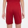 NIKE Shorts football Youth FC Liverpool  STAD SHORT HM Rouge