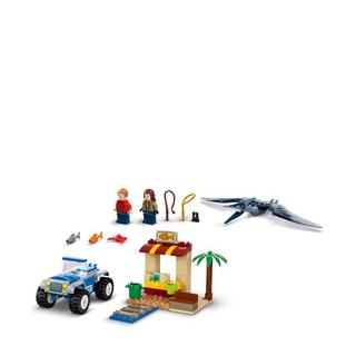 LEGO®  76943 Pteranodon-Jagd 