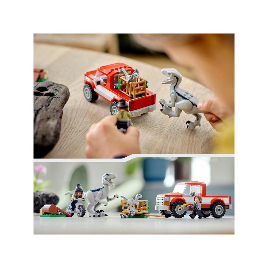 LEGO®  76946 La capture des Vélociraptors Beta et Blue 