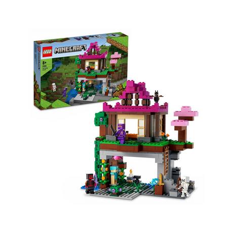 LEGO®  21183 Le camp d’entraînement 
