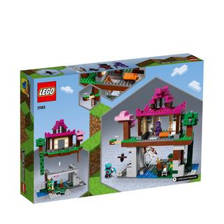 LEGO®  21183 I Campi d’Allenamento 