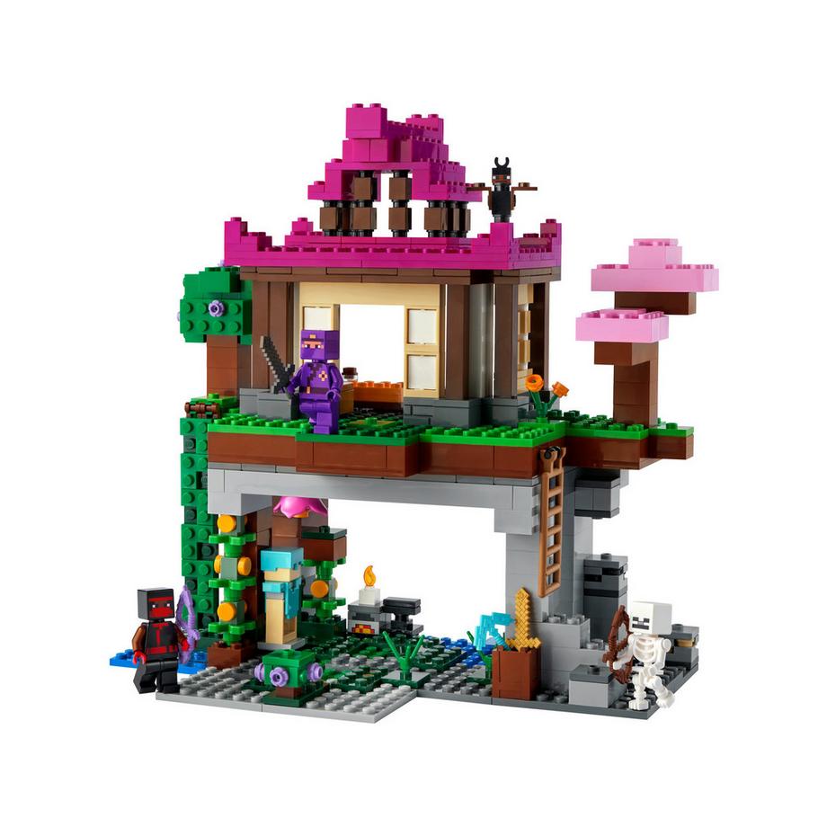 LEGO®  21183 I Campi d’Allenamento 
