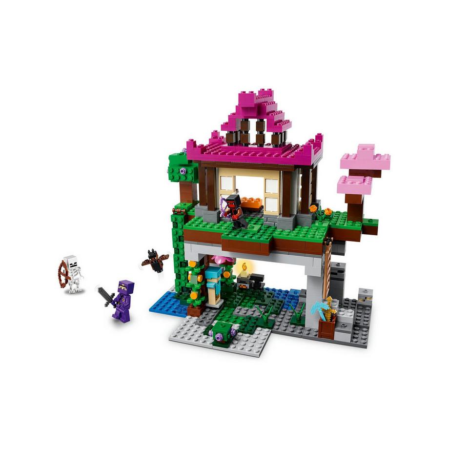 LEGO®  21183 I Campi d’Allenamento 