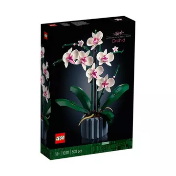 10311 L’orchidée
