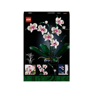LEGO®  10311 Orchidea 