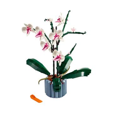 10311 L’orchidée