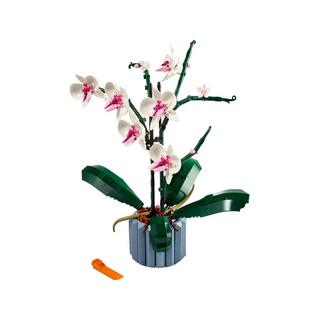 LEGO®  10311 Orchidee 