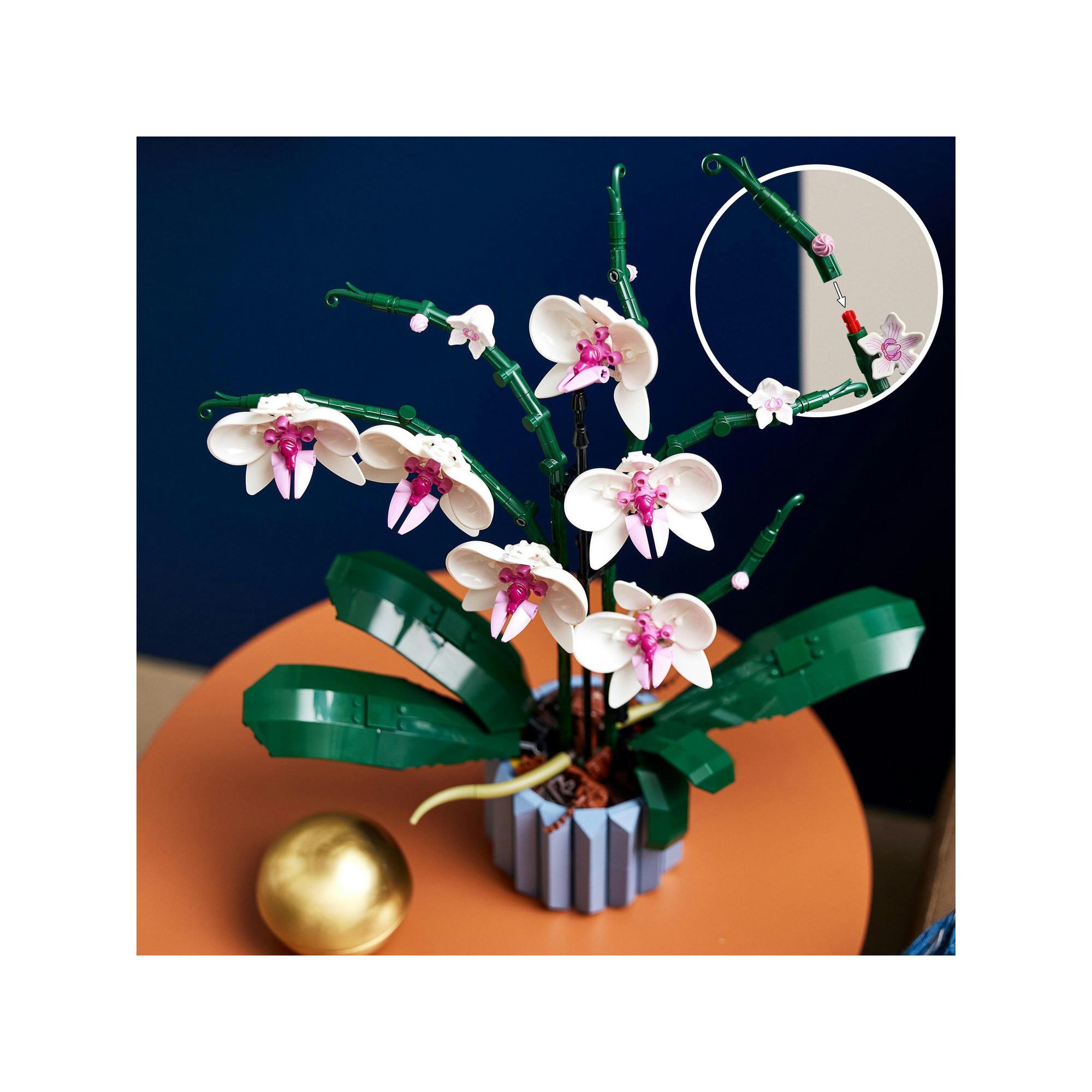 LEGO®  10311 Orchidee 