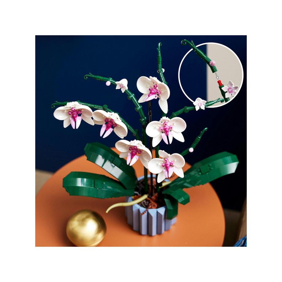 LEGO®  10311 Orchidee 
