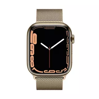 Apple Apple Watch Series 7, acciaio inossidabile, GPS + Cellular, 45mm Smartwatch Oro