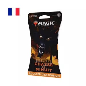 Magic the Gathering Booster Blister, Francese