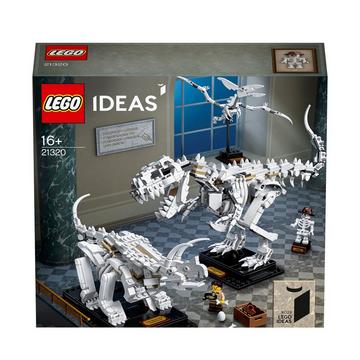 21320 Dinosaurier-Fossilien