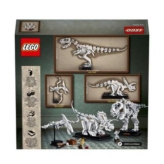 LEGO®  21320 Dinosaurier-Fossilien 