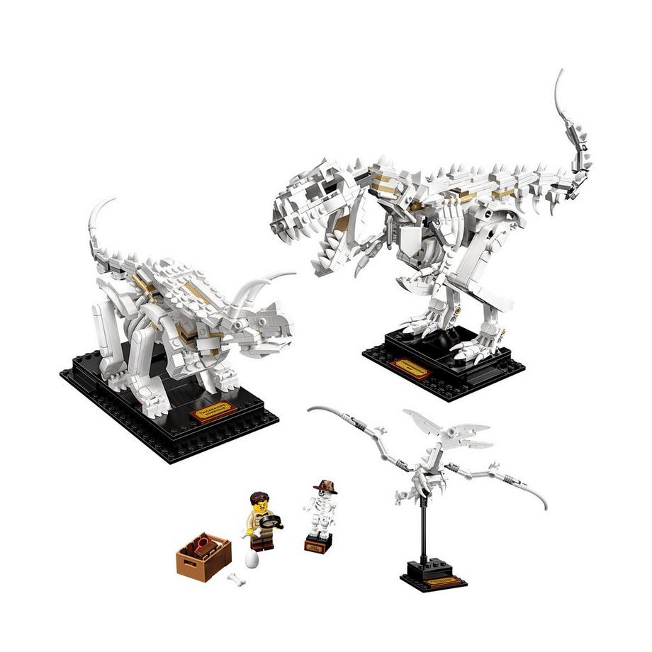 LEGO®  21320 Les fossiles de dinosaures 