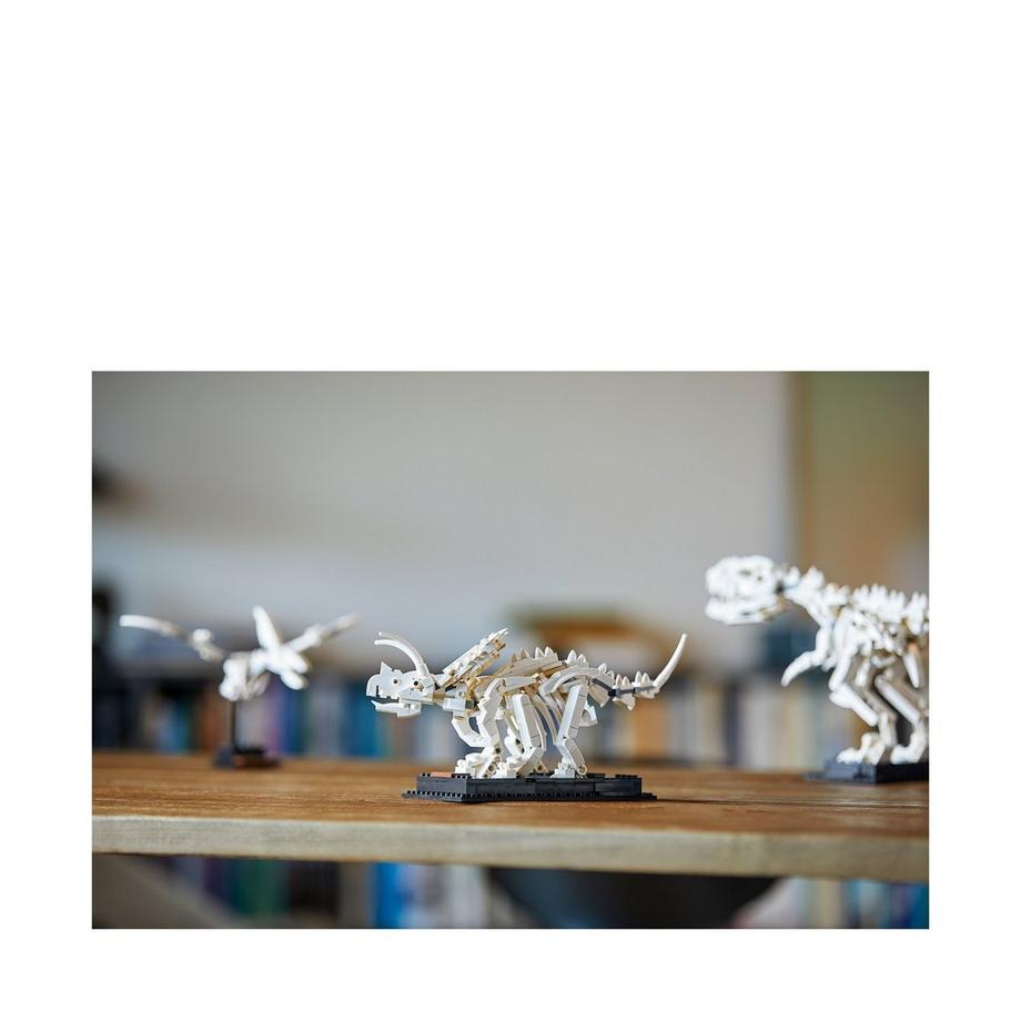LEGO®  21320 Les fossiles de dinosaures 