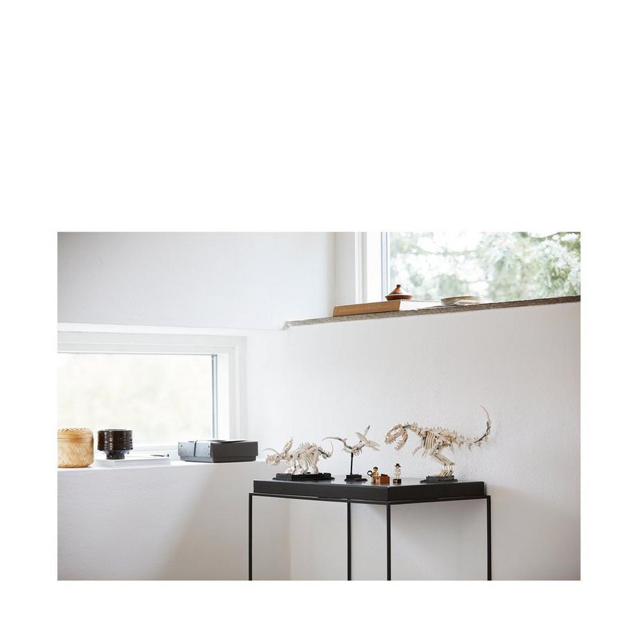 LEGO®  21320 Les fossiles de dinosaures 