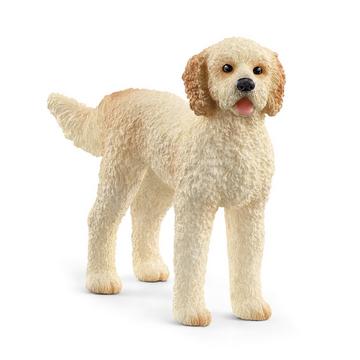 13939 Goldendoodle