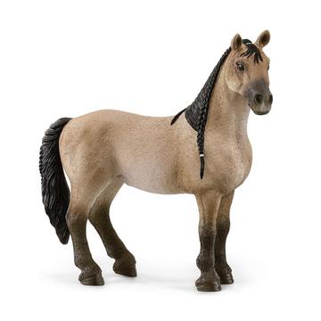 13948 Criollo Definitivo Mare