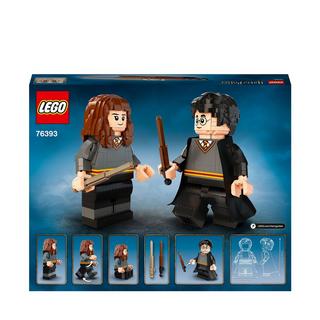 LEGO®  76393 Harry Potter™ & Hermine Granger™ 