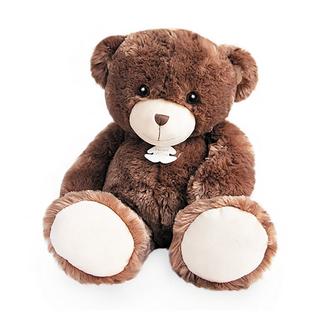 Histoire d'Ours  Ours 