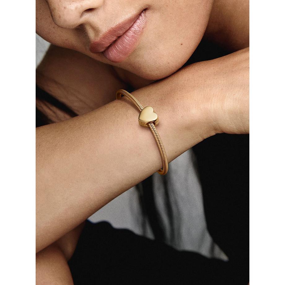 PANDORA Pandora Moments Charm 