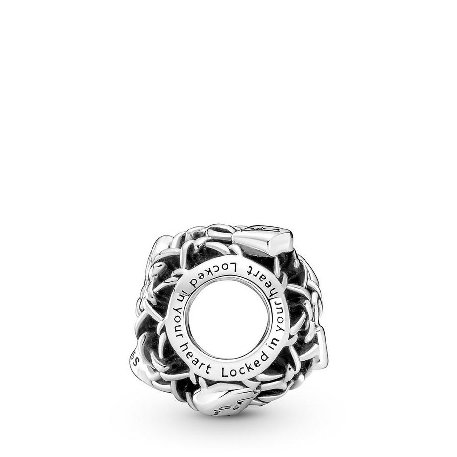 PANDORA Pandora Moments Charm 
