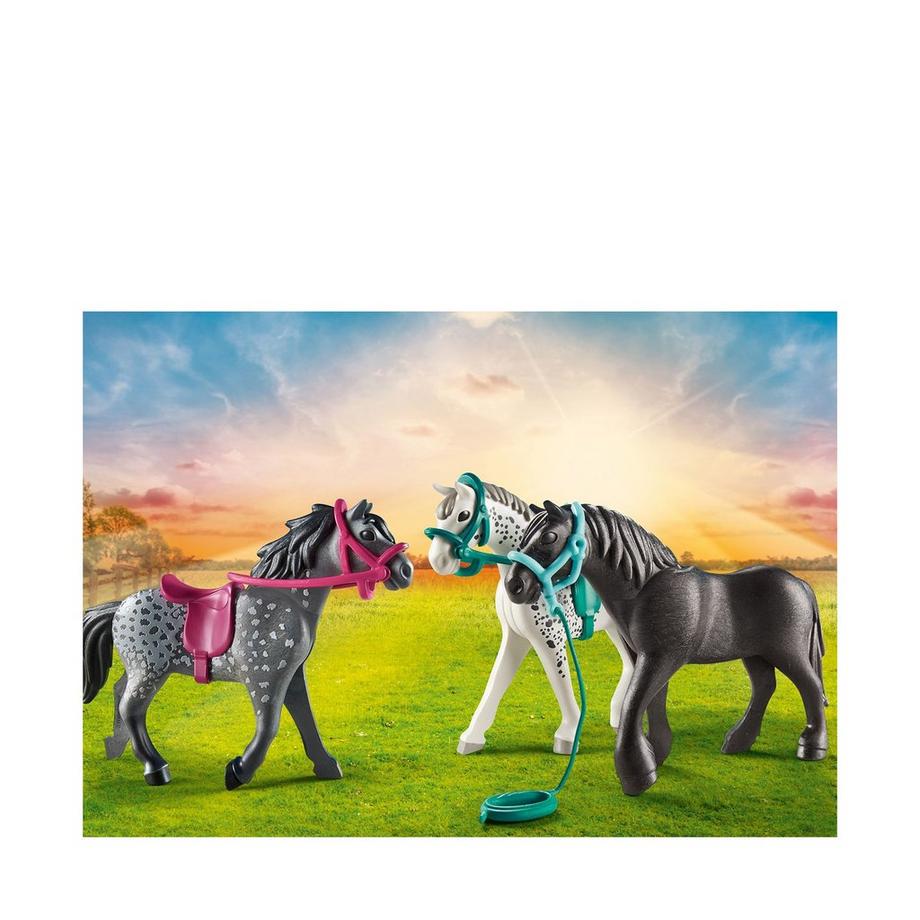 Playmobil  70999 3 chevaux : Frison, Knabstrupper & Andalou 