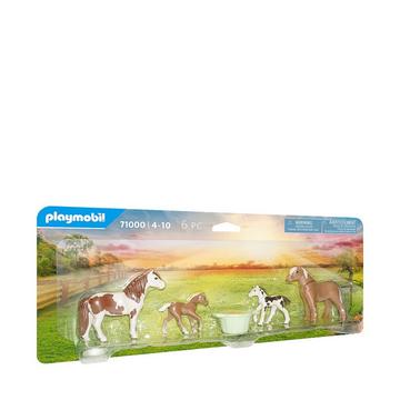 71000 2 poneys islandais et poulains