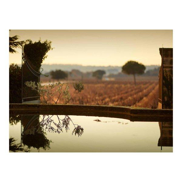 Famille Perrin 2020, Les Sinards Rouge, Château-Neuf-du-Pape AOC  