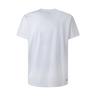 Pepe Jeans ALERON T-Shirt 