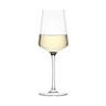 LEONARDO Bicchieri da vino bianco 6 pz Puccini Trasparente