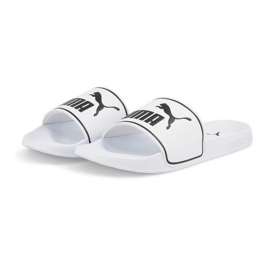 PUMA Leadcat 2.0 Slides  
