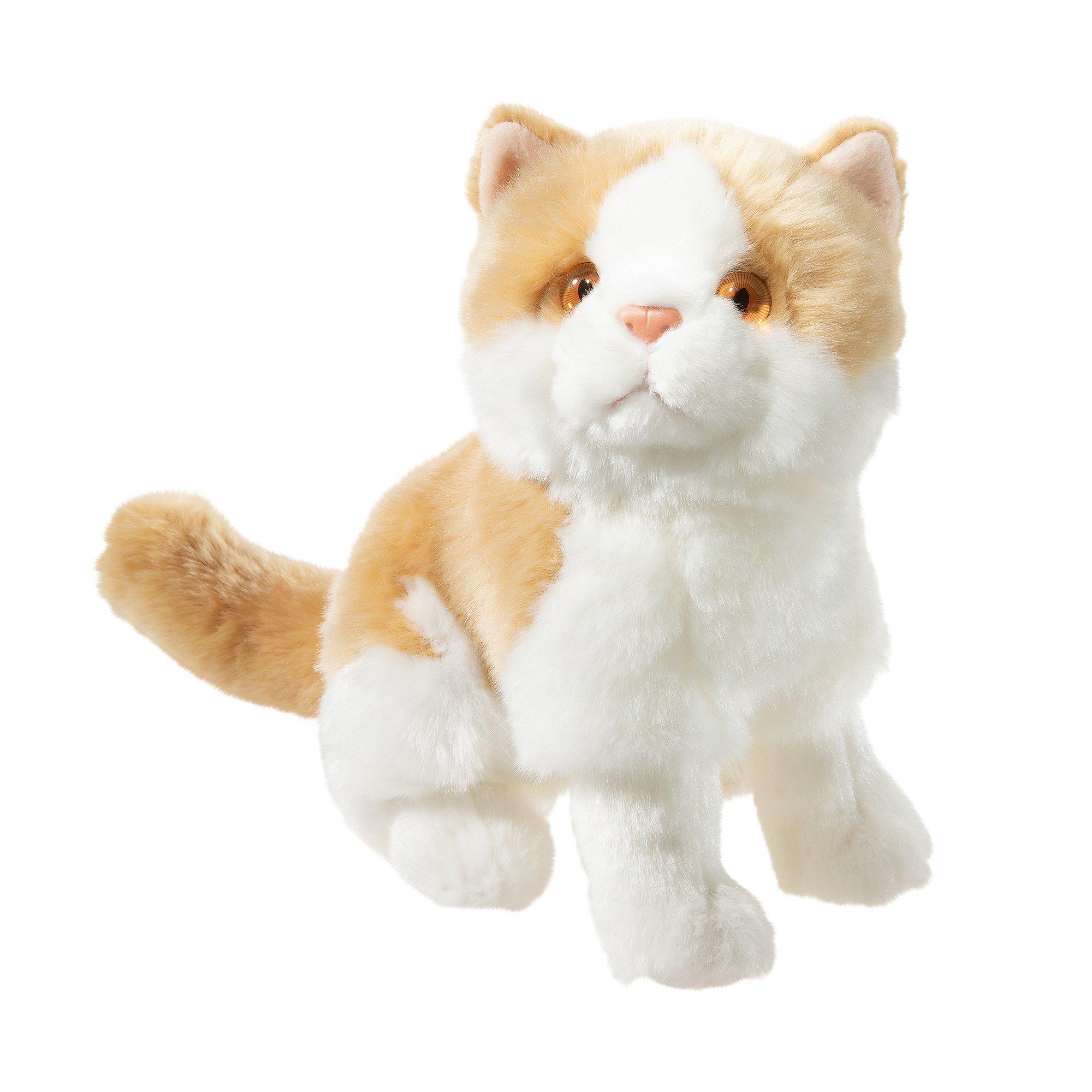 Image of Misanimo Kätzchen Multicolor