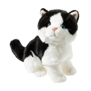 heunec  Misanimo chaton  