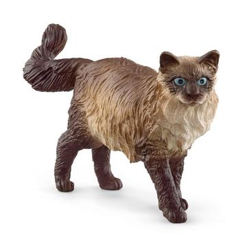 13940 Ragdoll Katze