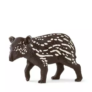 14851 Jeune tapir