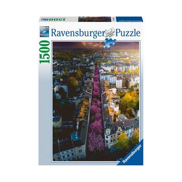 Puzzle, Blühendes Bonn - 1500 Teile