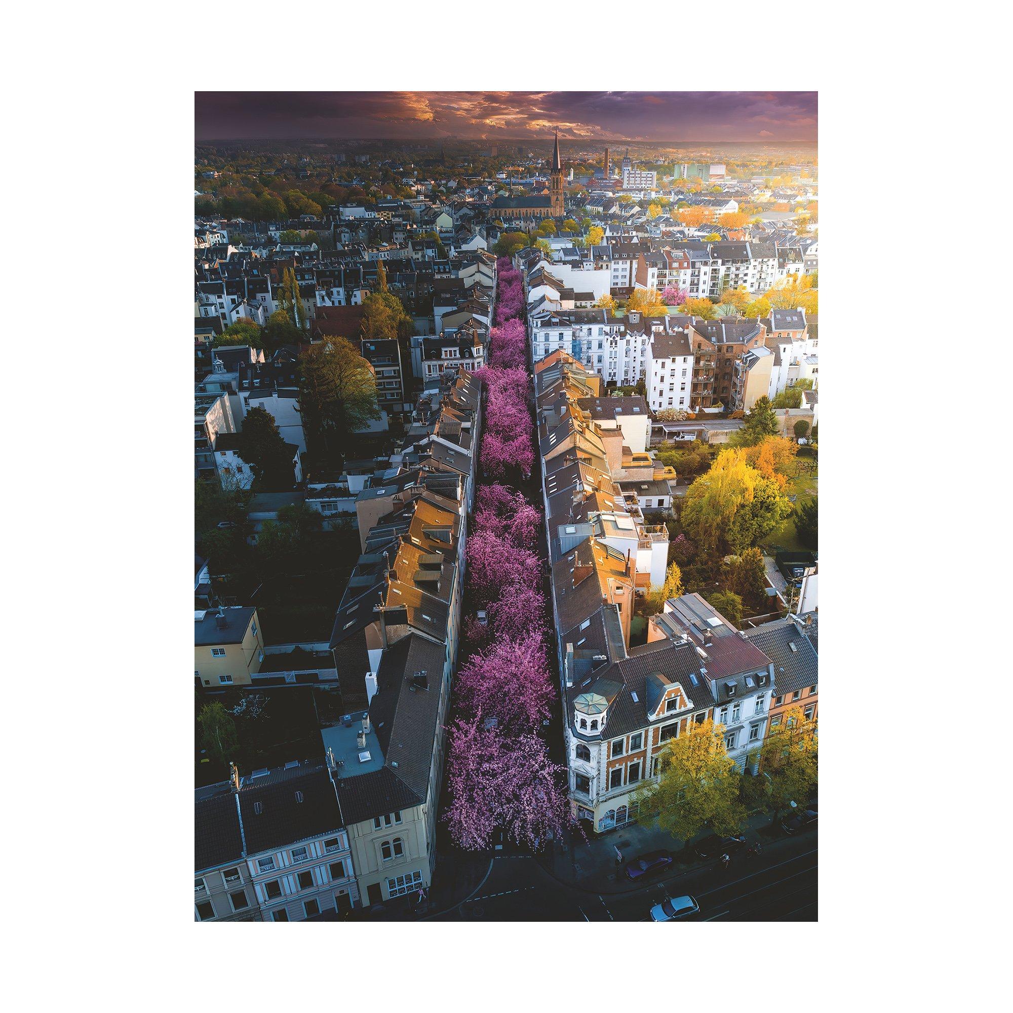 Ravensburger  Puzzle, Bonn in fiore - 1500 pezzi 