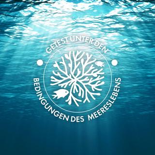 VICHY CS Spr fl pro cell SPF30 Capital Soleil Zellschutz-Spray LSF30 