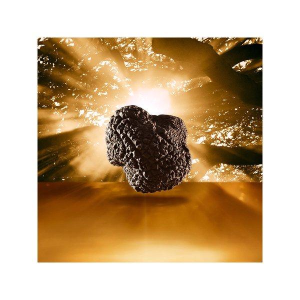 ESTÉE LAUDER  Re-Nutriv Ultimate Diamond Transformative Brilliance Serum 