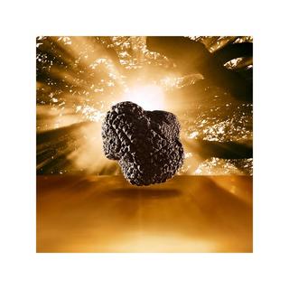 ESTÉE LAUDER  Re-Nutriv Ultimate Diamond Transformative Brilliance Serum 