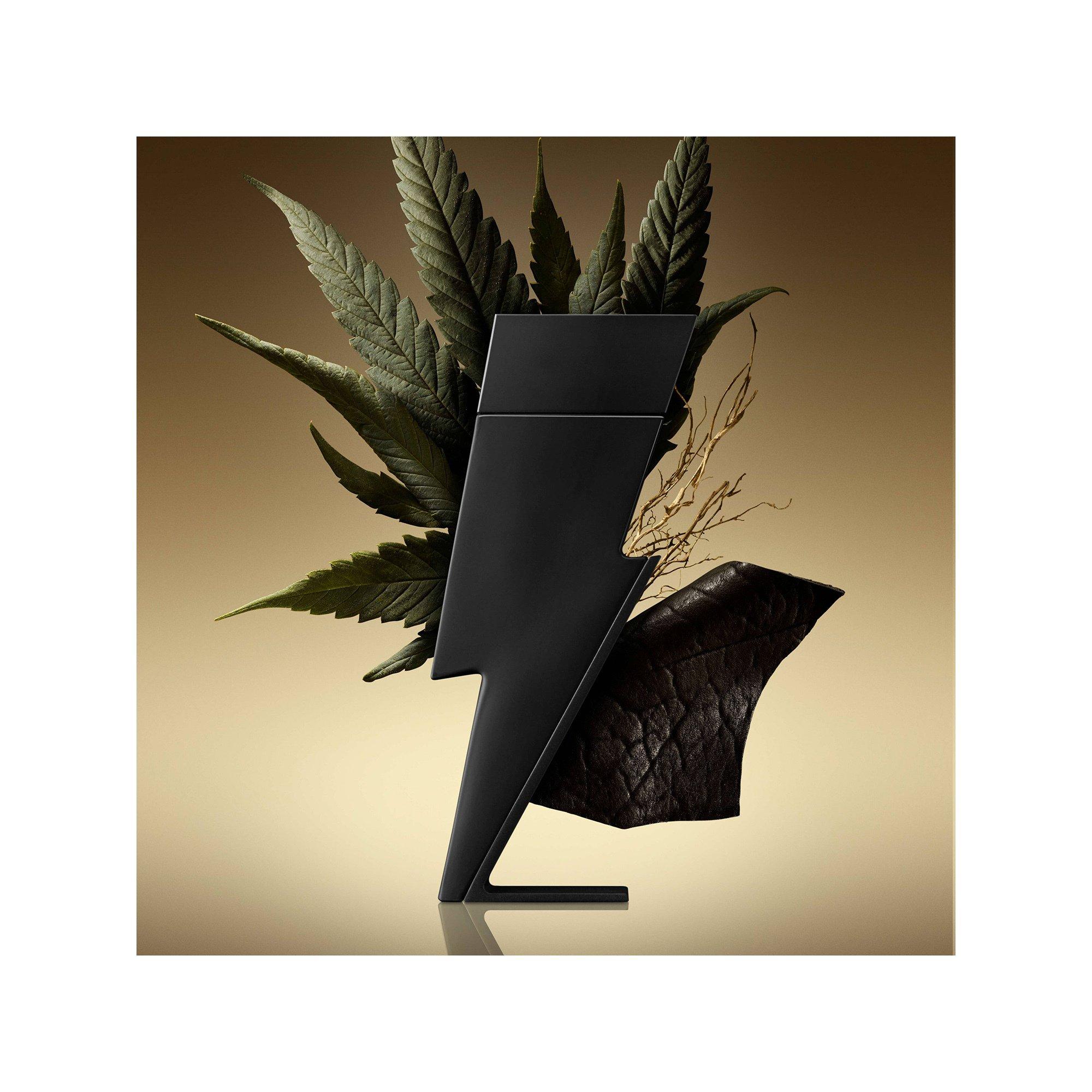 CAROLINA HERRERA Bad Boy, Le Parfum  