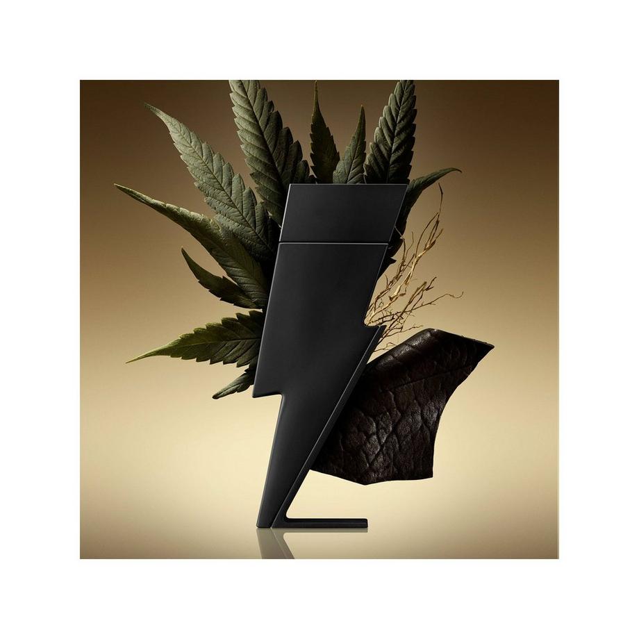 CAROLINA HERRERA Bad Boy, Le Parfum  