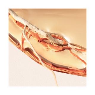 HUGO BOSS Alive Intense Eau de Parfum  