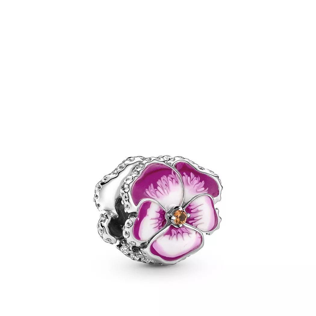 Pandora Charm Moments